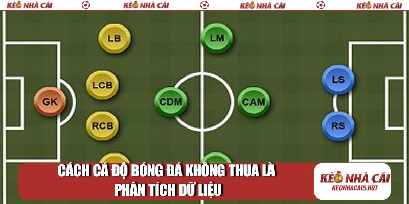 Cách cá độ bóng đá không thua là phân tích dữ liệu