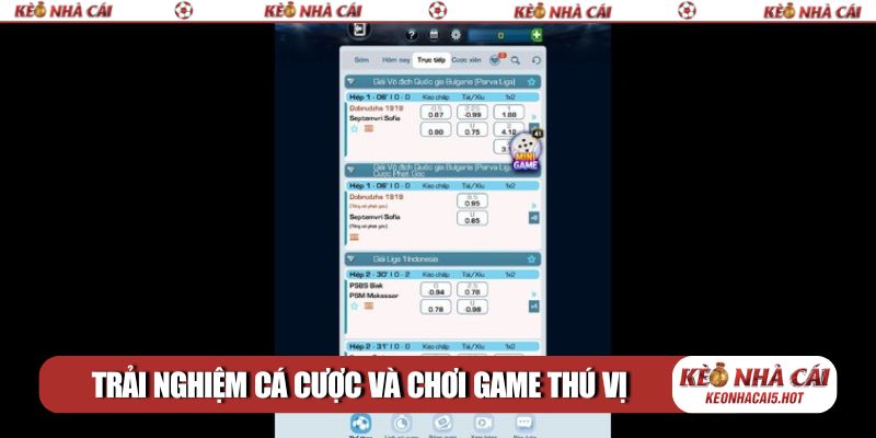 Trải nghiệm cá cược và chơi game giải trí thú vị